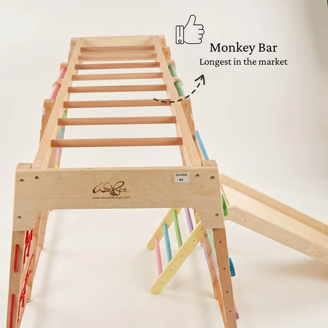 Jumbo Jungle Gym with longest wooden monkey bar.
