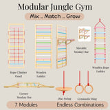 Modular Jungle Gym
