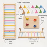 Integrated Training Wall - Modular Jungle Gym