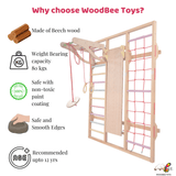 Wall-mounted Jungle Gym