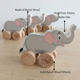 Push Along Toy - Wild Animals (Set of 3)