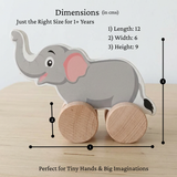 Push Along Toy - Wild Animals (Set of 3)