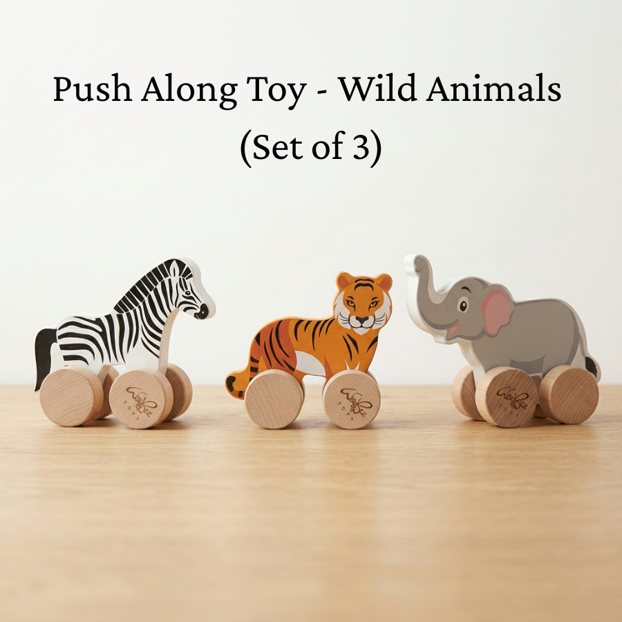Push Along Toy - Wild Animals (Set of 3)