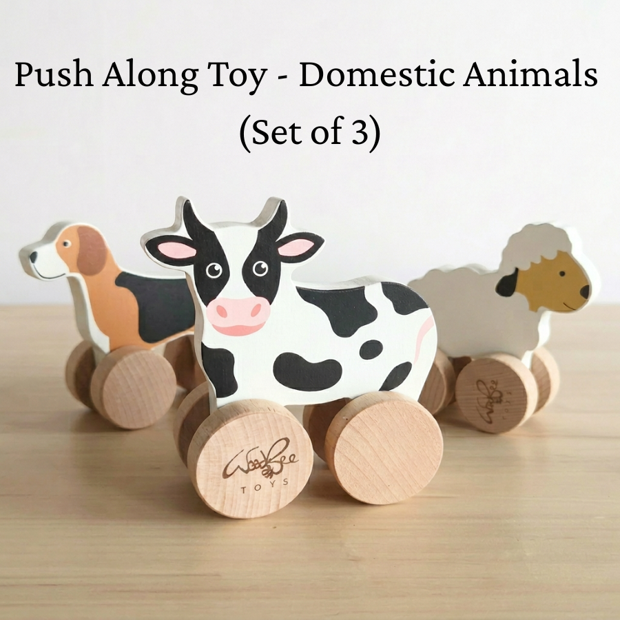 Push Along Toy - Domestic Animals (Set of 3)