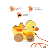 Pull Along Duck